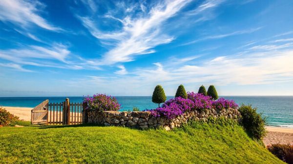 10 raisons de faire appel à des paysagistes à Sanary sur mer