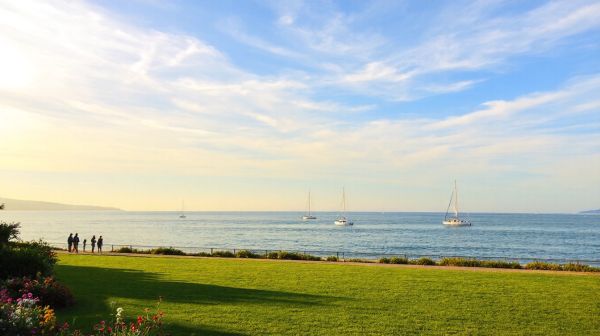 10 raisons de faire appel à des paysagistes à Sanary sur mer